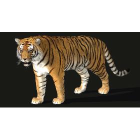 Tiger (3) (Rig) (Fur)